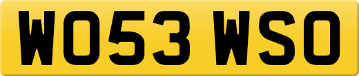 WO53WSO